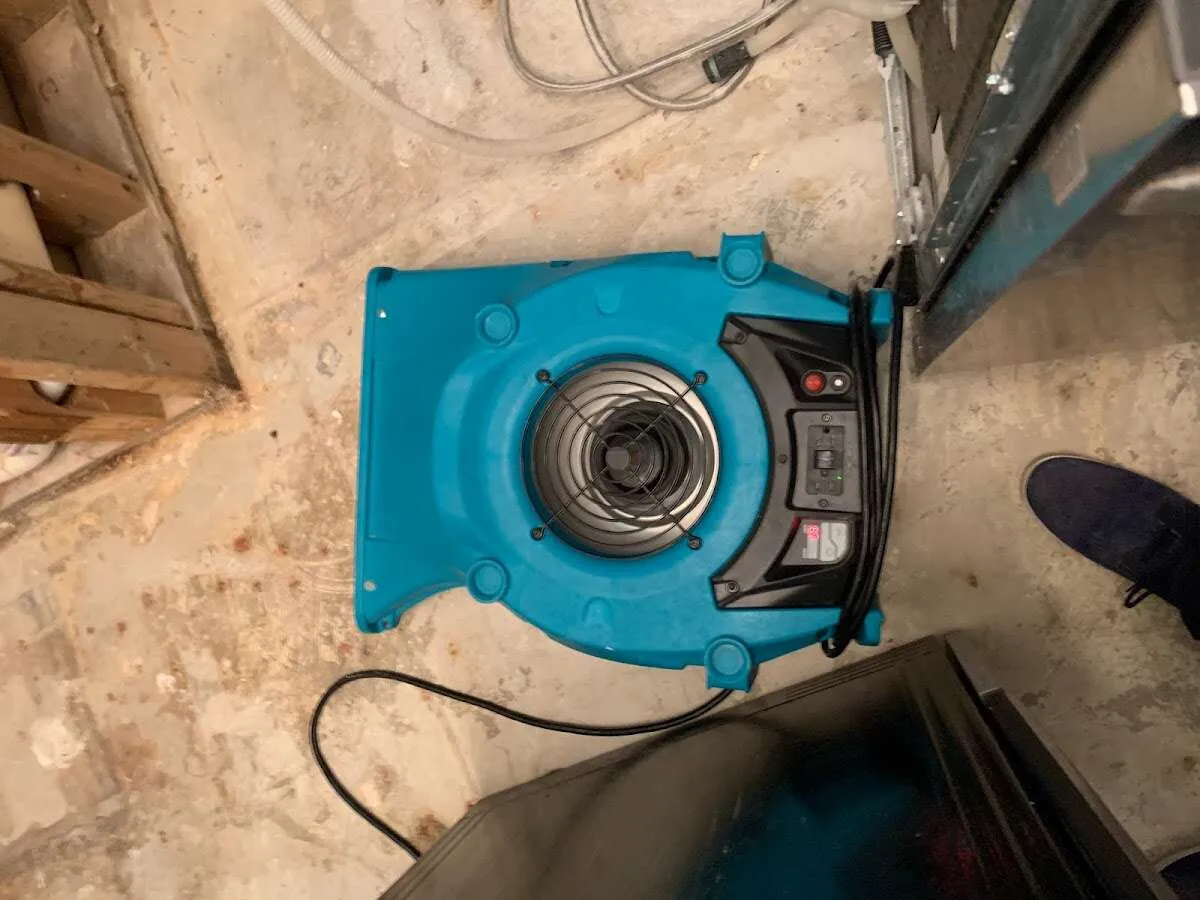 Air mover drying equipment for Mold Remediation & Removal in Lauderdale-by-the-Sea